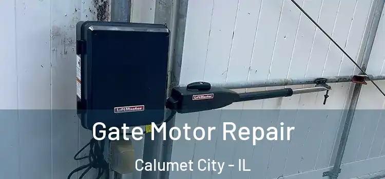 Gate Motor Repair Calumet City - IL